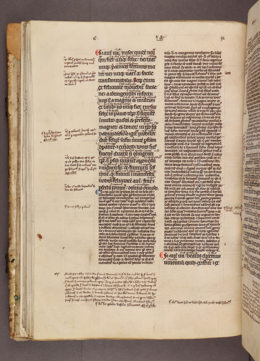 Folio 37 verso